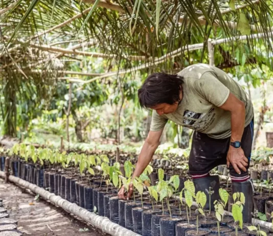 MEF fortalecerá bionegocios amazónicos con sesiones descentralizadas en 2026 MEF fortalecerá bionegocios amazónicos con sesiones descentralizadas en 2026
