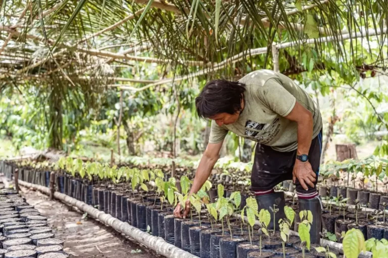 MEF fortalecerá bionegocios amazónicos con sesiones descentralizadas en 2026