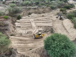 Más de 11 mil hectáreas de cultivo protegidas tras descolmatación de ríos en Piura Más de 11 mil hectáreas protegidas tras descolmatación de ríos en Piura