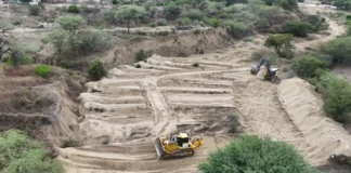 Más de 11 mil hectáreas de cultivo protegidas tras descolmatación de ríos en Piura Más de 11 mil hectáreas protegidas tras descolmatación de ríos en Piura
