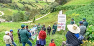 Proyecto Papa y Maíz beneficia a 2,500 productores de Amazonas, Cajamarca y La Libertad Proyecto Papa y Maíz beneficia a 2,500 productores de Amazonas, Cajamarca y La Libertad