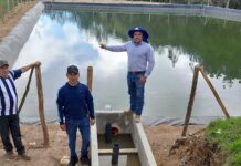 Huancabamba: proyectos productivos fortalecen agricultura familiar y ganadería Huancabamba: proyectos productivos fortalecen agricultura familiar y ganadería