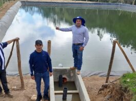 Huancabamba: proyectos productivos fortalecen agricultura familiar y ganadería Huancabamba: proyectos productivos fortalecen agricultura familiar y ganadería