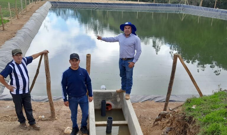 Huancabamba: proyectos productivos fortalecen agricultura familiar y ganadería