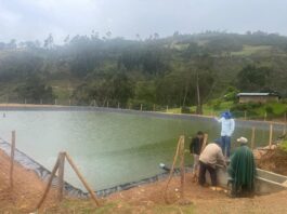 Piura: proyecto de reservorios beneficia a más de 14 mil agricultores Piura: proyecto de reservorios beneficia a más de 14 mil agricultores