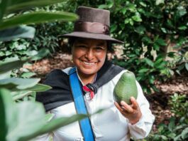 Agro peruano creció 4,8% en 2025 impulsado por cultivos clave y ganadería Agro peruano creció 4,8% en 2025 impulsado por cultivos clave y ganadería