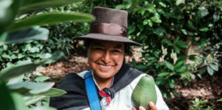 Agro peruano creció 4,8% en 2025 impulsado por cultivos clave y ganadería Agro peruano creció 4,8% en 2025 impulsado por cultivos clave y ganadería