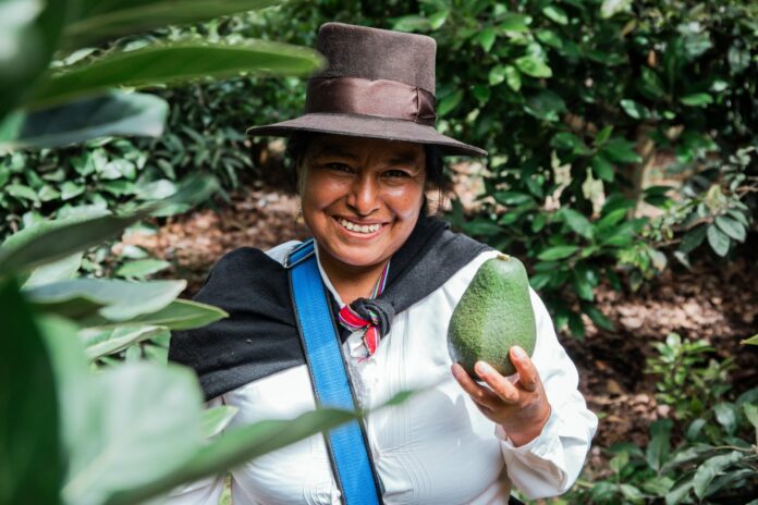 Agro peruano creció 4,8% en 2025 impulsado por cultivos clave y ganadería