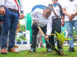San Martín ejecutará plan de reforestación y sistemas agroforestales con cacao San Martín ejecutará plan de reforestación y sistemas agroforestales con cacao