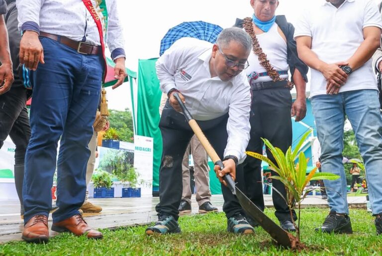 San Martín ejecutará plan de reforestación y sistemas agroforestales con cacao