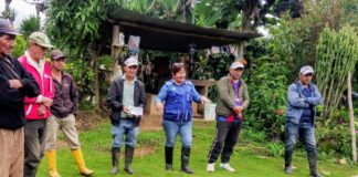 Piura: Agricultores de Ayabaca se capacitan en abonos orgánicos y producción de plantones Piura: Agricultores de Ayabaca se capacitan en abonos orgánicos y producción de plantones