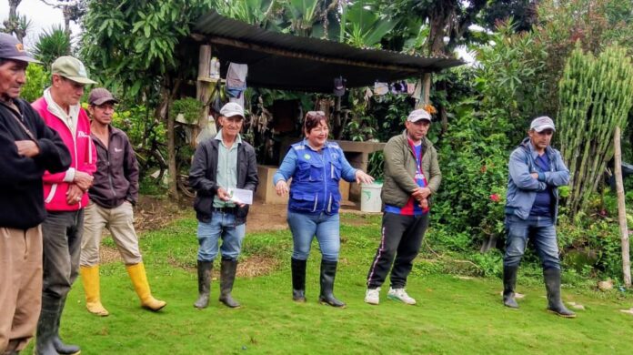 Piura: Agricultores de Ayabaca se capacitan en abonos orgánicos y producción de plantones