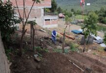 Piura: instalan vivero forestal con 6 mil plantones nativos en Suyo Piura: instalan vivero forestal con 6 mil plantones nativos en Suyo