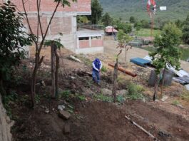 Piura: instalan vivero forestal con 6 mil plantones nativos en Suyo Piura: instalan vivero forestal con 6 mil plantones nativos en Suyo