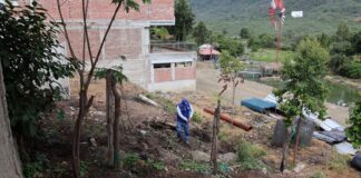 Piura: instalan vivero forestal con 6 mil plantones nativos en Suyo Piura: instalan vivero forestal con 6 mil plantones nativos en Suyo