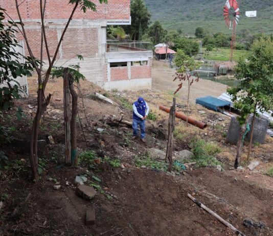 Piura: instalan vivero forestal con 6 mil plantones nativos en Suyo Piura: instalan vivero forestal con 6 mil plantones nativos en Suyo