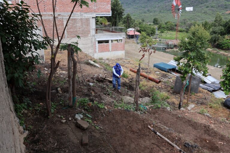 Piura: instalan vivero forestal con 6 mil plantones nativos en Suyo