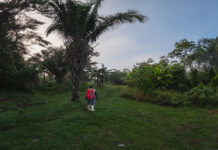 Amazonía: Más de 2 100 comuneros fortalecen la protección de bosques Amazonía: Más de 2 100 comuneros fortalecen la protección de bosques
