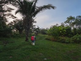 Amazonía: Más de 2 100 comuneros fortalecen la protección de bosques Amazonía: Más de 2 100 comuneros fortalecen la protección de bosques