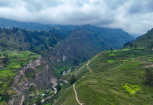 Minam restaurará 44 mil hectáreas de ecosistemas altoandinos en cuatro regiones del Perú Minam restaurará 44 mil hectáreas de ecosistemas altoandinos en cuatro regiones del Perú