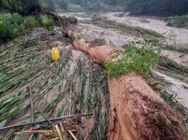 La Libertad: desborde del río Marañón provoca inundación y daños agrícolas en Longotea La Libertad: desborde del río Marañón provoca inundación y daños agrícolas en Longotea