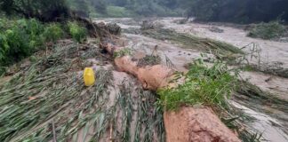 La Libertad: desborde del río Marañón provoca inundación y daños agrícolas en Longotea La Libertad: desborde del río Marañón provoca inundación y daños agrícolas en Longotea