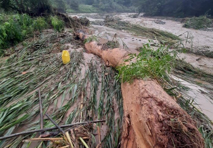 La Libertad: desborde del río Marañón provoca inundación y daños agrícolas en Longotea La Libertad: desborde del río Marañón provoca inundación y daños agrícolas en Longotea