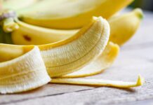 Exportaciones agrícolas orgánicas crecen 60% y superan los US$ 1,467 millones en 2025 Exportaciones agrícolas orgánicas crecen 60% y superan los US$ 1,467 millones en 2025