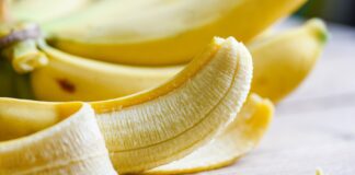 Exportaciones agrícolas orgánicas crecen 60% y superan los US$ 1,467 millones en 2025 Exportaciones agrícolas orgánicas crecen 60% y superan los US$ 1,467 millones en 2025