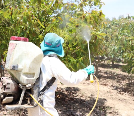Tecnología y plaguicidas regulados impulsan crecimiento del agro peruano Tecnología y plaguicidas regulados impulsan crecimiento del agro peruano