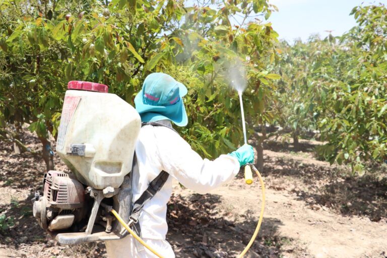 Tecnología y plaguicidas regulados impulsan crecimiento del agro peruano