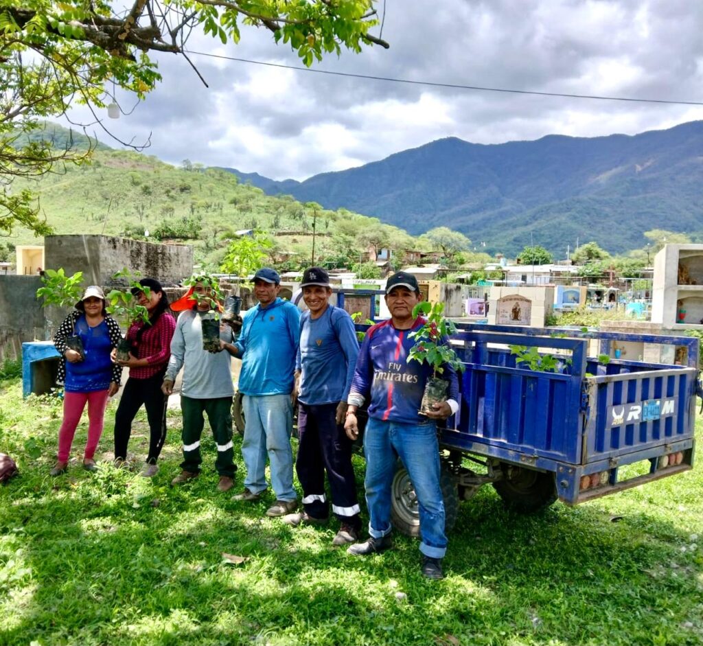 Plantan 500 guayacanes en Serrán para fortalecer el Bosque Seco Salitral–Huarmaca