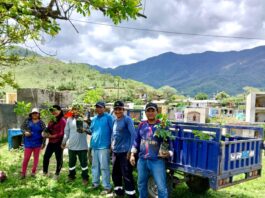 Plantan 500 guayacanes en Serrán para fortalecer el Bosque Seco Salitral–Huarmaca Plantan 500 guayacanes en Serrán para fortalecer el Bosque Seco Salitral–Huarmaca