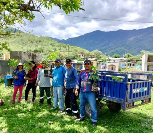 Plantan 500 guayacanes en Serrán para fortalecer el Bosque Seco Salitral–Huarmaca Plantan 500 guayacanes en Serrán para fortalecer el Bosque Seco Salitral–Huarmaca