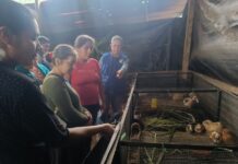 Piura: Escuelas de Campo en Huancabamba impulsan la agricultura familiar Piura: Escuelas de Campo en Huancabamba impulsan la agricultura familiar