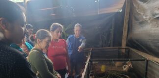 Piura: Escuelas de Campo en Huancabamba impulsan la agricultura familiar Piura: Escuelas de Campo en Huancabamba impulsan la agricultura familiar