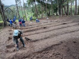 Sondorillo contará con vivero forestal y frutal para fortalecer la producción agrícola Sondorillo contará con vivero forestal y frutal para fortalecer la producción agrícola