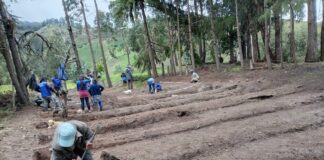Sondorillo contará con vivero forestal y frutal para fortalecer la producción agrícola Sondorillo contará con vivero forestal y frutal para fortalecer la producción agrícola