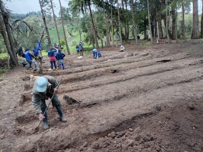 Sondorillo contará con vivero forestal y frutal para fortalecer la producción agrícola