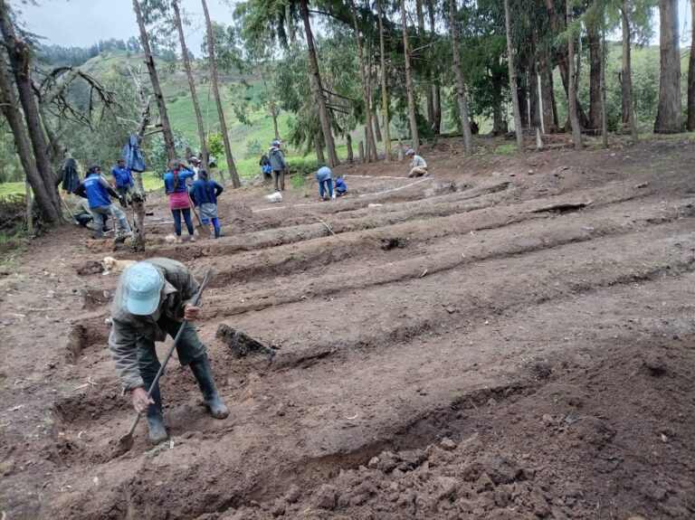Sondorillo contará con vivero forestal y frutal para fortalecer la producción agrícola