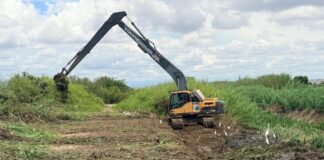 Piura: Inician descolmatación de drenes estratégicos en el valle del Chira Inician descolmatación de drenes estratégicos en el valle del Chira