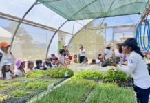 Piura ejecuta proyectos en acuicultura y ganadería gracias a cooperación estratégica Piura ejecuta proyectos en acuicultura y ganadería gracias a cooperación estratégica