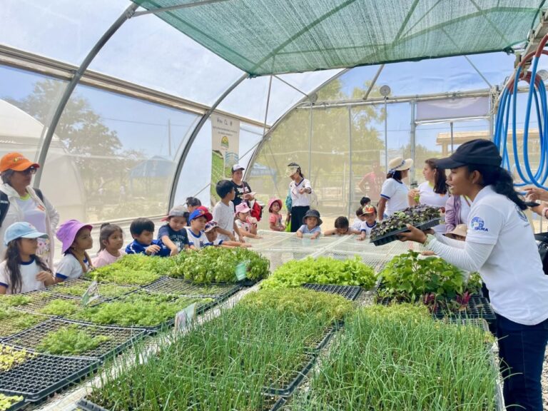 Piura ejecuta proyectos en acuicultura y ganadería gracias a cooperación estratégica