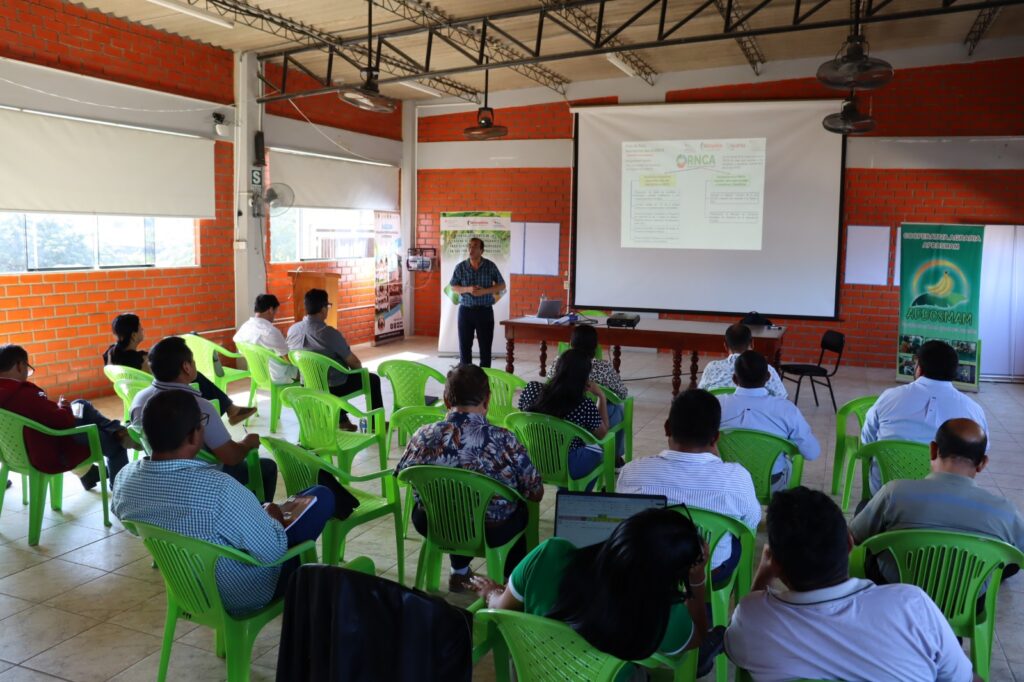 Cooperativas de banano orgánico en Piura se fortalecen con apoyo de Suiza