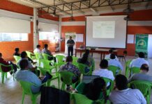 Cooperativas de banano orgánico en Piura se fortalecen con apoyo de Suiza Cooperativas de banano orgánico en Piura se fortalecen con apoyo de Suiza