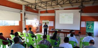 Cooperativas de banano orgánico en Piura se fortalecen con apoyo de Suiza Cooperativas de banano orgánico en Piura se fortalecen con apoyo de Suiza