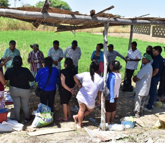 Productores de Rinconada Llicuar reciben asistencia técnica para el buen uso de semillas Brindan asistencia técnica a productores de Rinconada Llicuar para el buen uso de semillas