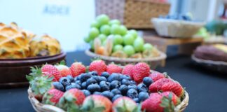 Fenómeno de El Niño amenaza agroexportaciones peruanas valorizadas en US$ 14,550 millones