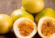 Exportaciones de maracuyá peruano caen ligeramente en enero 2026 y mantienen precio estable Exportaciones de maracuyá peruano caen ligeramente en enero 2026 y mantienen precio estable