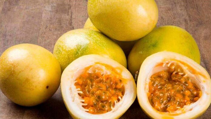 Exportaciones de maracuyá peruano caen ligeramente en enero 2026 y mantienen precio estable